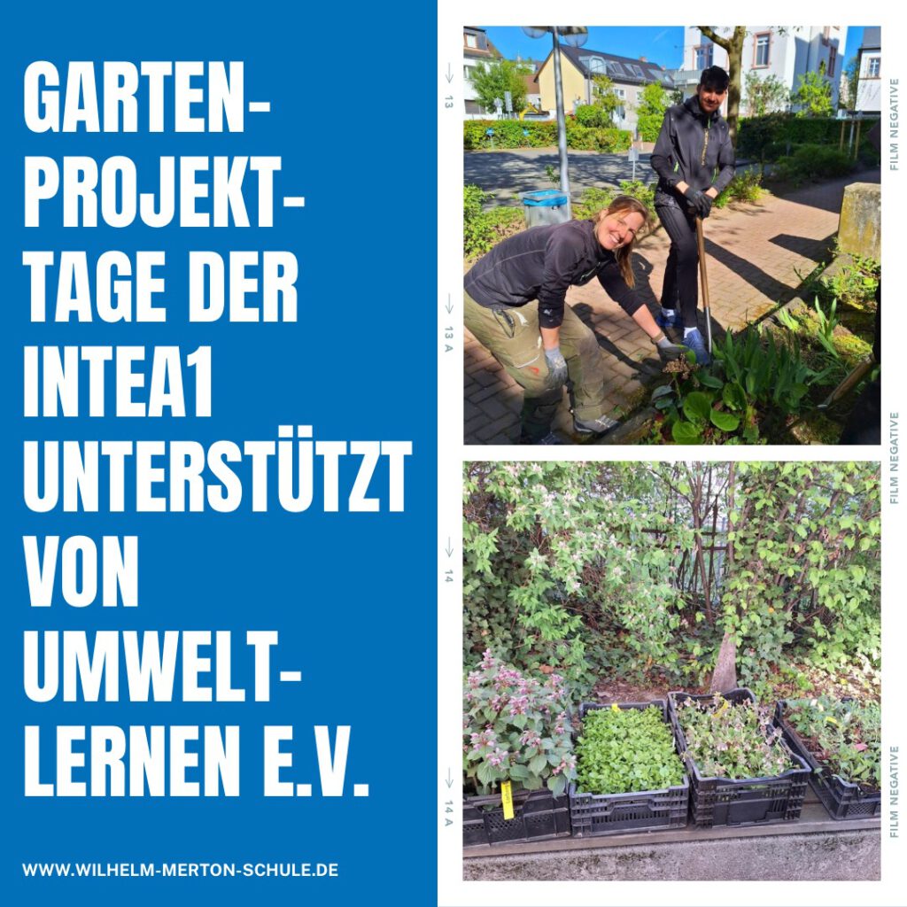 Projekttage der INTEA1 unterstütz von Umweltlernen e.V.